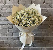 Букет цветов из:  Ромашки #REPLACE_PRED# Алексеевском