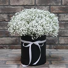 Цветочная композиция из Гипсофила в шляпной коробке в Алексеевском