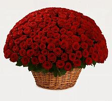 Премиум букет из: Розы #REPLACE_PRED# Алексеевском